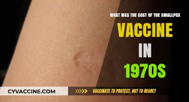 The Smallpox Vaccine Cost in the 1970s: A Historical Perspective