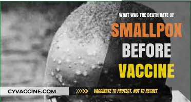 Smallpox Mortality: Pre-Vaccine Death Rates and Historical Impact