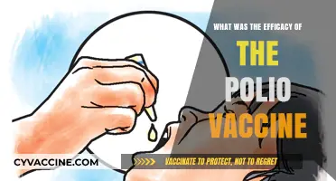Polio Vaccine Efficacy: Eradicating a Crippling Disease Successfully