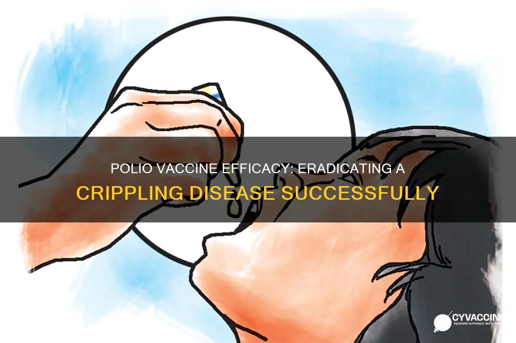 what was the efficacy of the polio vaccine
