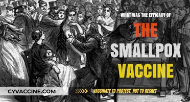 Smallpox Vaccine Efficacy: Eradicating a Deadly Disease Successfully
