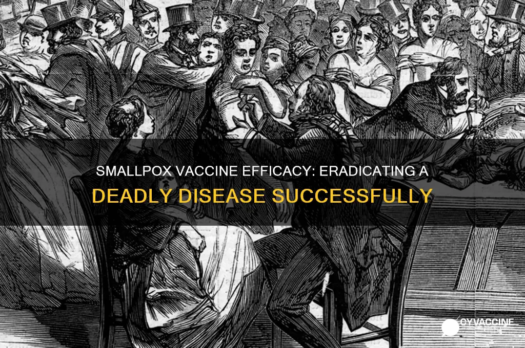 what was the efficacy of the smallpox vaccine