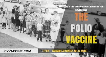 The Scientific Journey: Developing the Polio Vaccine Through Experiments