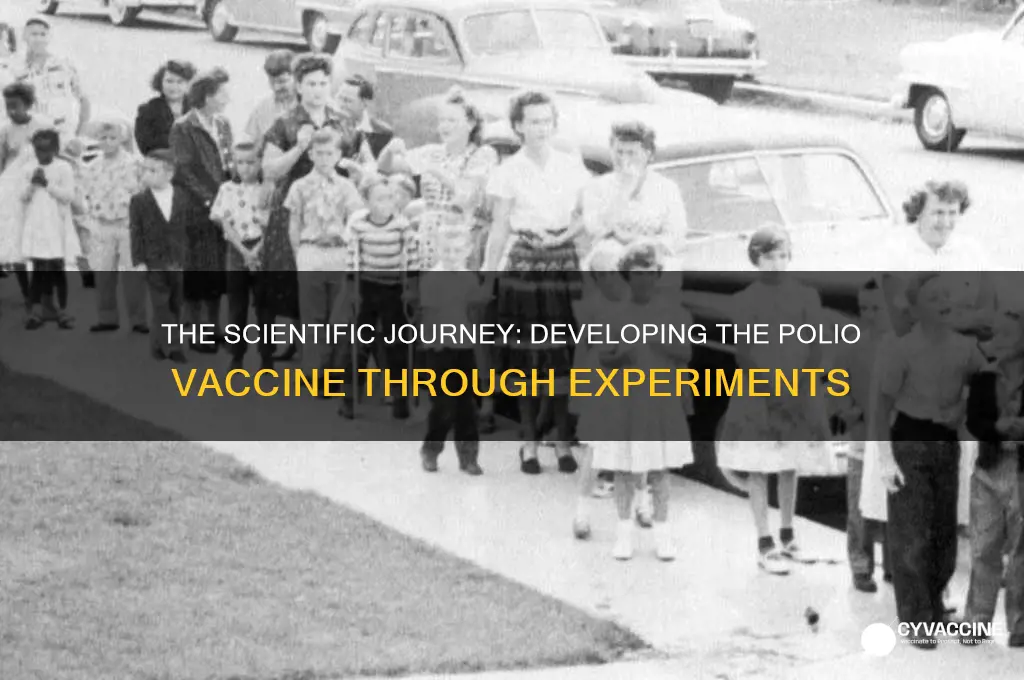 what was the experimental process for developing the polio vaccine
