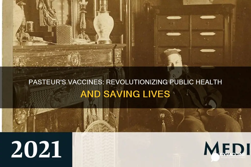 what was the impact of pasteur