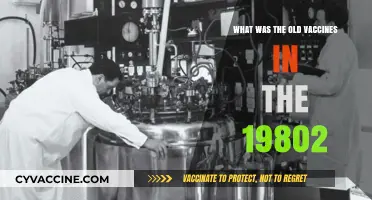 Exploring the Vaccines of the 1980s: A Historical Overview
