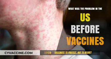 Pre-Vaccine America: Unveiling the Devastating Health Crises That Shaped the Nation