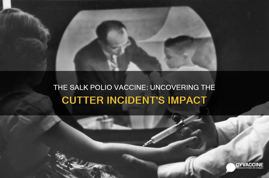 what was the problem with salk