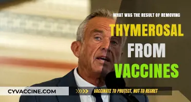 Thymerosal Removal from Vaccines: Impact and Public Health Outcomes