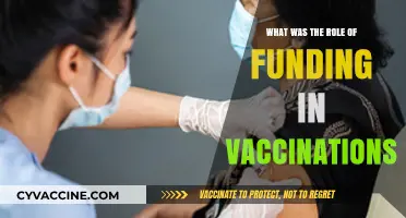 Funding's Impact: How Investments Shaped Global Vaccination Success Stories