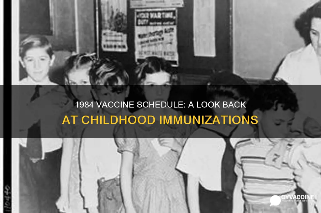 what was the schedule of vaccines in 1984