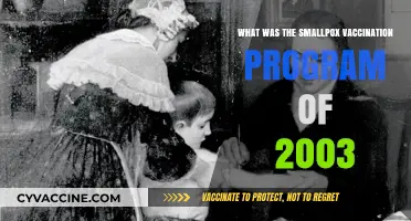 2003 Smallpox Vaccination Program: A Comprehensive Overview and Impact