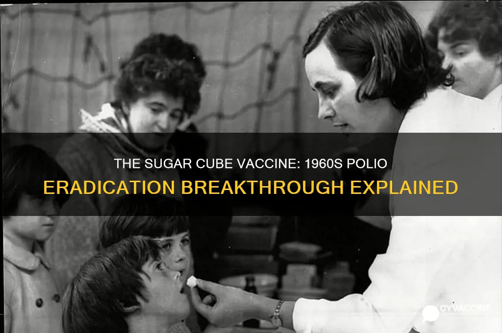 what was the sugar cube vaccine in the 60s