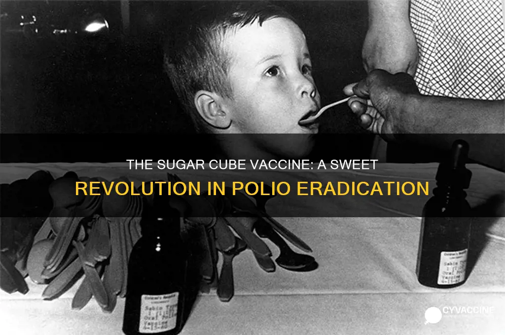 what was the sugar cube vaccine