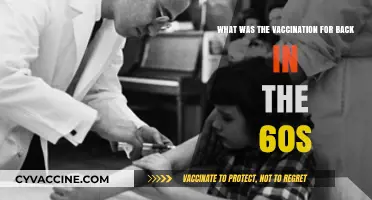 Unveiling the 1960s Vaccination Landscape: A Historical Health Journey