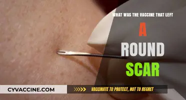 The Mystery of Round-Scar Vaccines