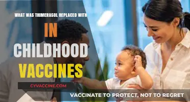 From Thimerosal to Alternatives: Modern Preservatives in Childhood Vaccines