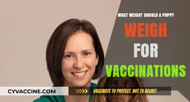 Puppy Vaccination Weight Guide: Ensuring Safe and Timely Immunizations