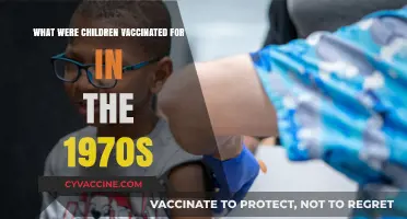 Childhood Vaccines of the 1970s: Protecting Against Common Diseases