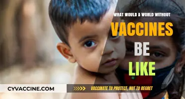 A World Without Vaccines: Imagining a Vulnerable, Disease-Ridden Future