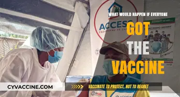 Global Vaccination: Exploring a World Where Everyone Gets the Vaccine