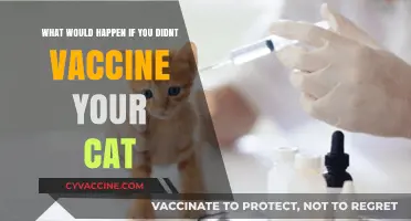 Skipping Cat Vaccines: Risks, Consequences, and Why They're Essential