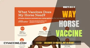 Understanding the Essential Components of a 5-Way Horse Vaccine