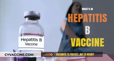 Understanding the Components of the Hepatitis B Vaccine