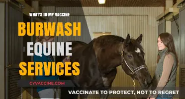 What's in My Horse's Vaccine? Burwash Equine Services Explains