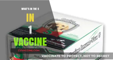 Understanding the 5-in-1 Vaccine: Ingredients, Benefits, and Protection