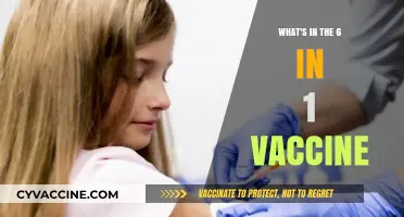 Understanding the 6-in-1 Vaccine: Ingredients, Benefits, and Safety Explained