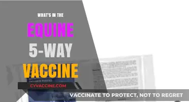 Understanding the Equine 5-Way Vaccine: Essential Components Explained