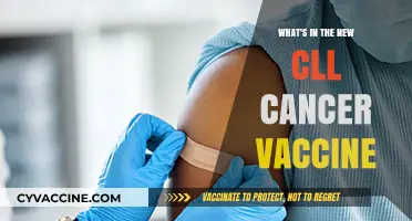 New CLL Cancer Vaccine: Breakthrough Ingredients and Potential Impact