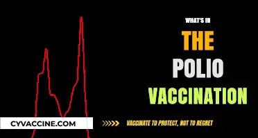 Understanding the Polio Vaccine: Ingredients and Their Role in Prevention