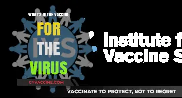 Unveiling the Ingredients: What's Inside the Viral Vaccine?