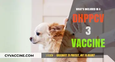 Understanding the DHPPcv 3 Vaccine: Components and Protection Explained