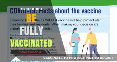 Fully Vaccinated: Understanding Complete Protection and Its Implications