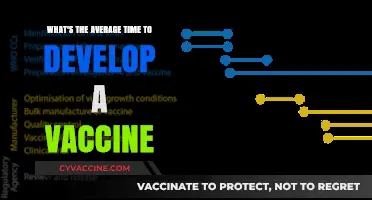 Understanding the Typical Timeline for Developing a Vaccine