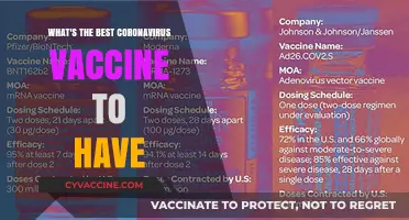 Choosing the Right COVID-19 Vaccine: A Comprehensive Guide for You