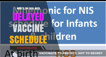 Delayed Vaccine Schedules: Understanding Risks, Reasons, and Recommendations