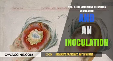 Vaccination vs. Inoculation: Understanding the Key Differences and Benefits