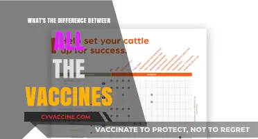Understanding Vaccine Types: Key Differences and Their Unique Purposes