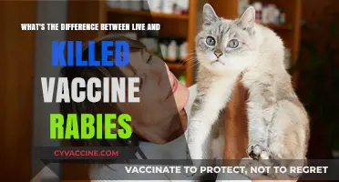 Live vs. Killed Rabies Vaccines: Understanding the Key Differences