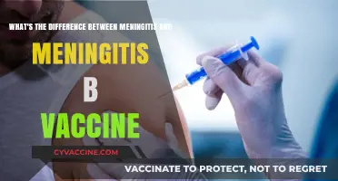 Meningitis vs. Meningitis B Vaccine: Key Differences Explained