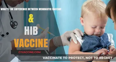 Meningitis vs. Hib Vaccine: Understanding the Key Differences