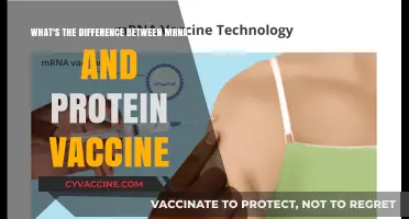 mRNA vs. Protein Vaccines: Key Differences and How They Work