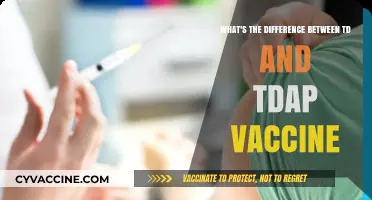 Understanding the Key Differences Between TD and Tdap Vaccines