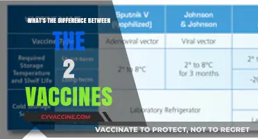Understanding the Key Differences Between the Two COVID-19 Vaccines