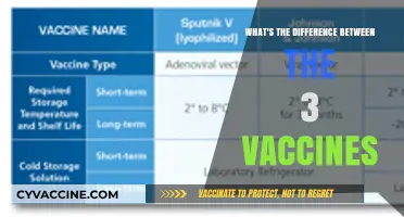 Understanding the Key Differences Among the Three COVID-19 Vaccines