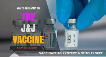 J&J Vaccine Update: Latest Developments, Safety, and Recommendations
